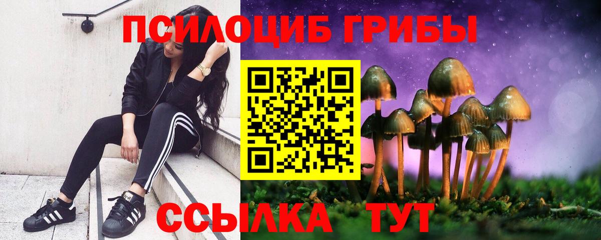 Псилоцибиновые грибы Psilocybine cubensis Саянск