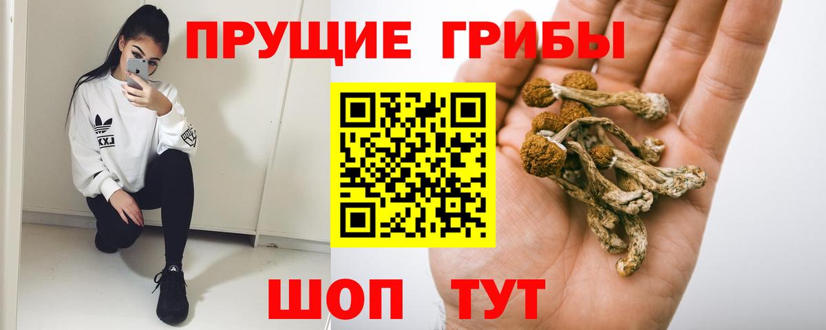 Галлюциногенные грибы мухоморы  Вход с VPN  Саянск 
